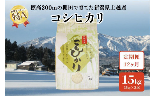 定期便12回発送｜新潟県上越市中郷産 従来種コシヒカリ 精米15kg（5kg×3袋）×全12回