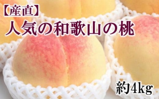 【産直・人気の特産品】和歌山の桃　約4kg・秀選品★2025年6月下旬～8月上旬頃順次発送★【TM168】 480514 - 和歌山県由良町