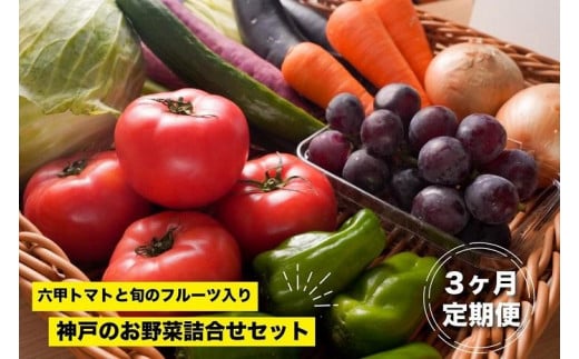 神戸のお野菜詰め合わせセット（六甲トマトと季節のフルーツ入）3ヶ月定期便 538574 - 兵庫県神戸市