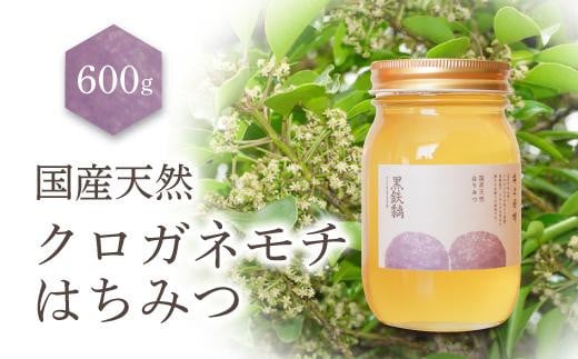 養蜂研究所が提供する「(井上養蜂) 国産 クロガネモチのはちみつ」すっきり上品な蜂蜜 569321 - 愛知県名古屋市