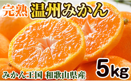 完熟温州みかん 10kg 和歌山のみかん職人が作る情熱ミカン - 和歌山県御坊市｜ふるさとチョイス - ふるさと納税サイト