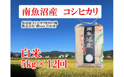 【定期便 南魚沼産】 コシヒカリ 白米５kg×12回