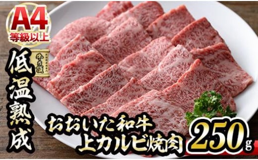 おおいた和牛 上カルビ 焼肉 (250g)【DH219】【(株)ネクサ】 533788 - 大分県佐伯市