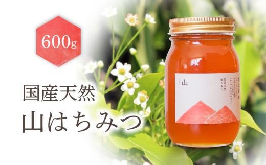 養蜂研究所が提供する「(井上養蜂) 国産 山のはちみつ」芳醇で濃厚な蜂蜜 569320 - 愛知県名古屋市