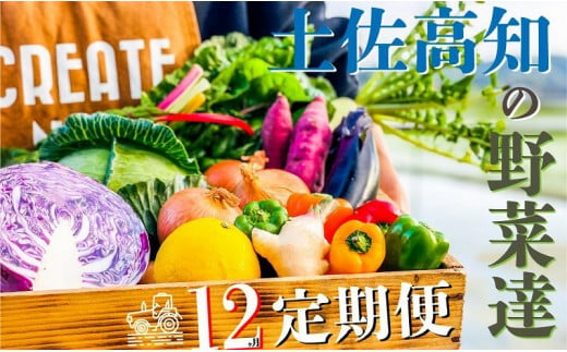 【12カ月定期便】高知の新鮮野菜セット／旬の野菜を味わう12ヵ月便