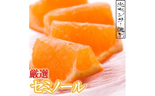 厳選セミノールオレンジ2.5kg+75g（傷み補償分）＜4月より発送＞ 526698 - 和歌山県九度山町