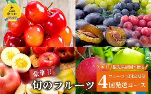 【ニトリ観光果樹園が贈るフルーツ王国定期便！】豪華！！旬のフルーツ4回発送コース