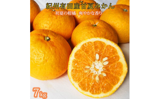 紀州有田産 初夏の柑橘 甘夏みかん 7kg 584978 - 和歌山県印南町