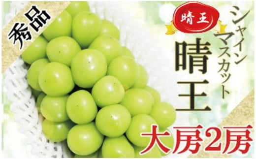 令和5年発送分】岡山県産シャインマスカット晴王【秀品】大房2房