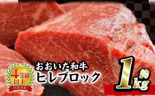 おおいた 和牛 ヒレブロック (約1kg)【BD206】【西日本畜産 (株)】