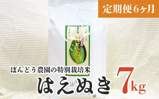【令和5年産】【定期便6ヶ月】ばんどう農園の特別栽培米はえぬき7kg×6ヶ月 F05-007
