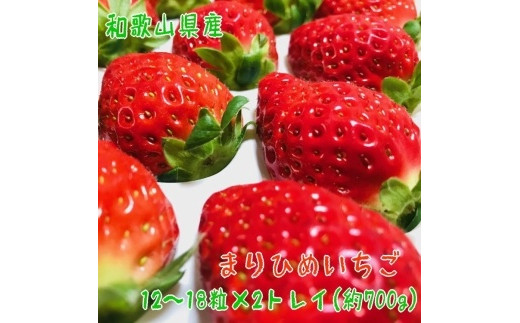 完熟まりひめいちご 12~18粒×2トレイ(約700g)【先行予約】【和歌山ブランド苺】【大人気】【農家直送】【MS1】 597452 - 和歌山県印南町