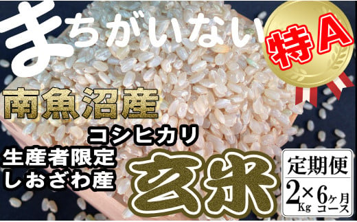 【定期便】玄米 生産者限定 南魚沼しおざわ産コシヒカリ2Kg×6ヶ月