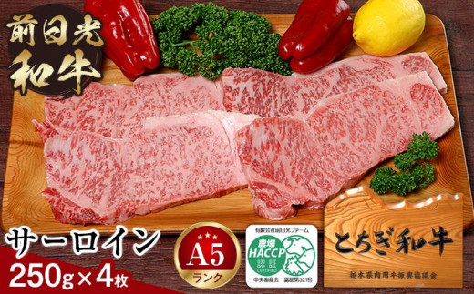 とちぎ和牛・前日光和牛（サーロイン250ｇ4枚）｜肉 お肉 和牛 最高級 A5ランク A5等級 ステーキ 700874 - 栃木県栃木市