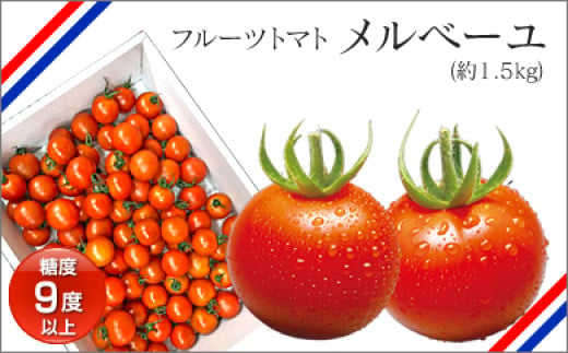 ※受付終了※高知産フルーツトマト「メルベーユ」　約1.5kg