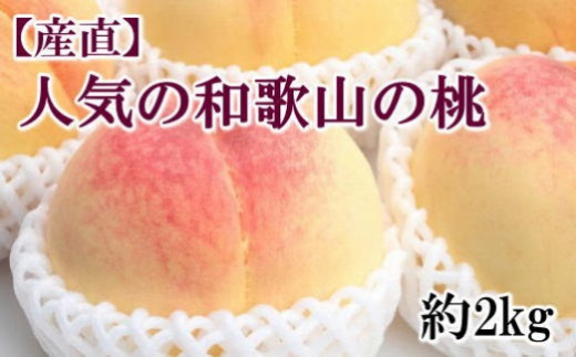 和歌山県由良町のふるさと納税 お礼の品ランキング【ふるさとチョイス】