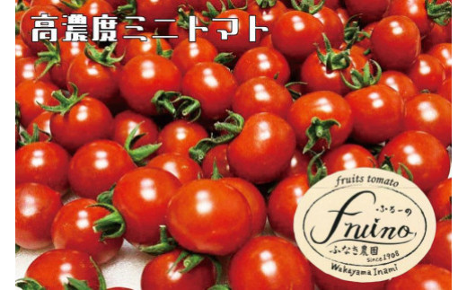 【2024年4月発送】フルーツトマト「fruino ふるーの」1箱（4パック） 598622 - 和歌山県印南町
