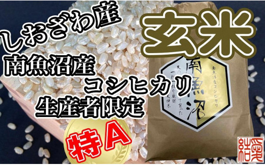 玄米 南魚沼しおざわ産コシヒカリ2Kg×9ヶ月