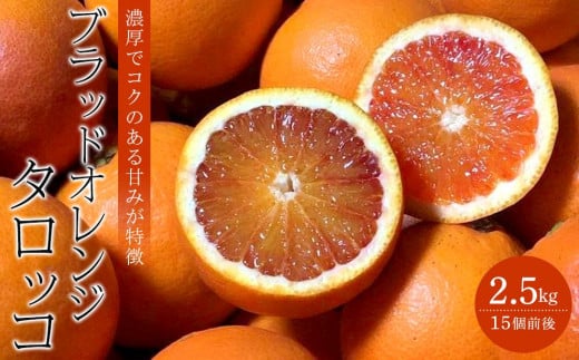 【先行予約】 ブラッドオレンジ (タロッコ) 2.5kg 597825 - 愛媛県松山市