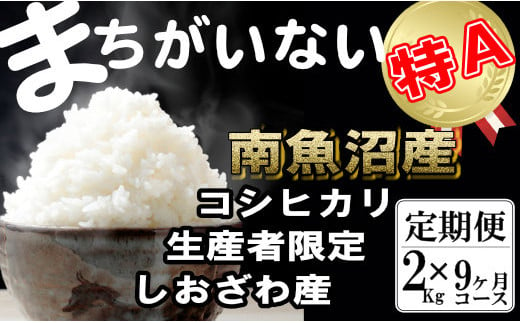 【定期便】生産者限定 契約栽培　南魚沼しおざわ産コシヒカリ（2Kg×9ヶ月） 442595 - 新潟県南魚沼市