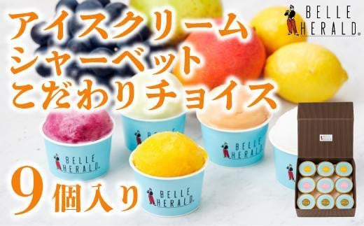 【人気の３品セット】アイスクリーム・シャーベットこだわりチョイス９個入 食べ比べ スイーツ 531994 - 愛知県名古屋市