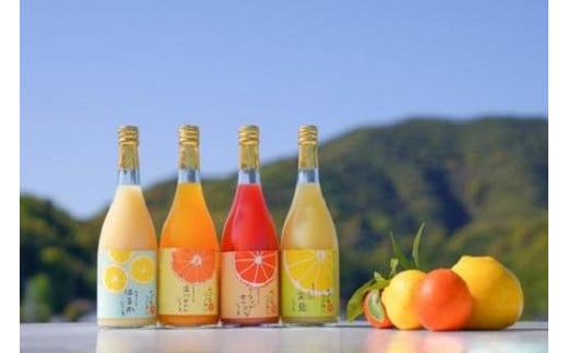 みかん家にしごみ　柑橘果汁100％ジュース 458918 - 高知県高知市