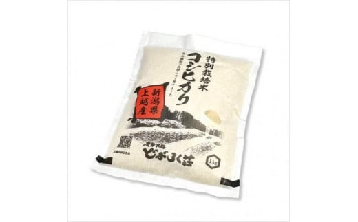特別栽培米コシヒカリ（白米）5kg×1袋 713376 - 新潟県上越市