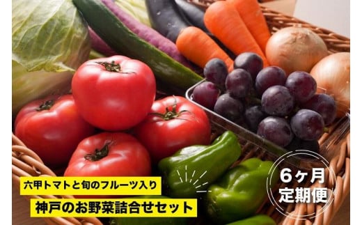 神戸のお野菜詰め合わせセット（六甲トマトと季節のフルーツ入）6ヶ月定期便