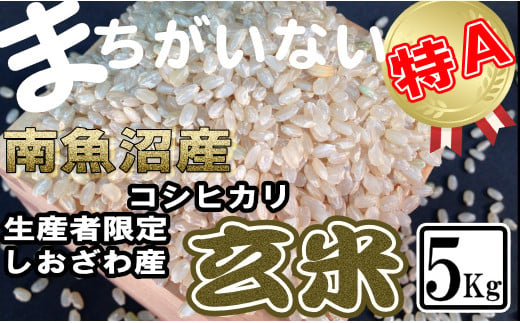 玄米 生産者限定 南魚沼しおざわ産コシヒカリ5Kg 446898 - 新潟県南魚沼市