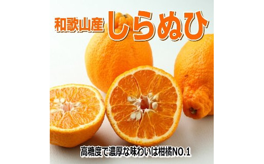 しらぬひ(デコポン)4.5kg/[和歌山産]『濃厚な味わいの春柑橘』