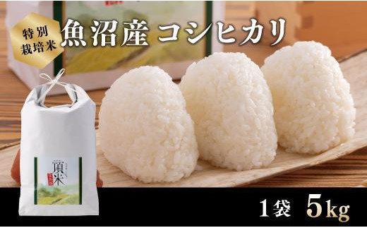 【特別栽培米】頂米　金兵衛　魚沼産コシヒカリ（精米）5kg
