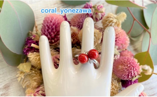珊瑚リング　～プラチナ・ツインズ～ 446640 - 高知県高知市