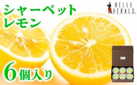 【爽快な甘酸っぱさ】レモンのシャーベット ６個入 さっぱり爽やか スイーツ 532000 - 愛知県名古屋市