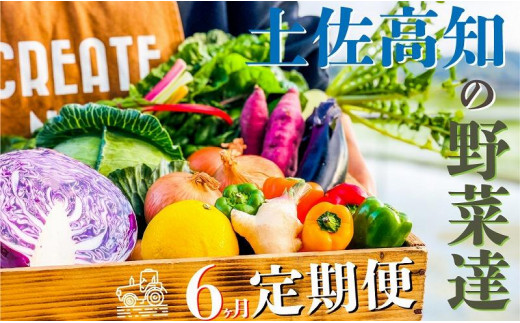 【偶数月に1度の定期便（合計6回)】高知の新鮮野菜セット/旬の野菜を味わう6ヵ月便