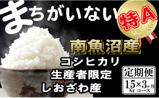 【定期便】生産者限定 契約栽培　南魚沼しおざわ産コシヒカリ（15Kg×3ヶ月） 442585 - 新潟県南魚沼市