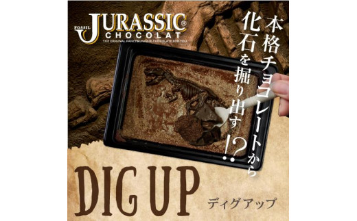 チョコレートのふるさと納税 カテゴリ・ランキング・一覧【ふるさと