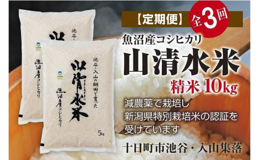 【定期便／全3回】精米10kg　新潟県魚沼産コシヒカリ「山清水米」 547376 - 新潟県十日町市