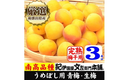 黄色【完熟】5kg 大サイズ 南高梅 梅干用フレッシュ青梅（生梅）／紀伊