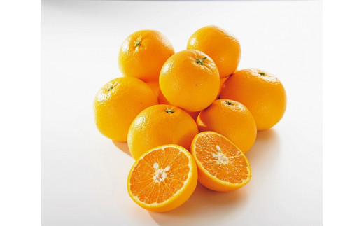 ◆先行予約◆希少柑橘 甘くて爽やかな春柑橘 春峰 約10kg〈赤秀〉【2024年3月上旬以降出荷】 482410 - 和歌山県由良町