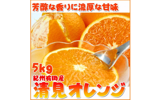 とにかくジューシー清見オレンジ　5kg【2025年3月下旬以降発送】【先行予約】【UT53】 584381 - 和歌山県印南町