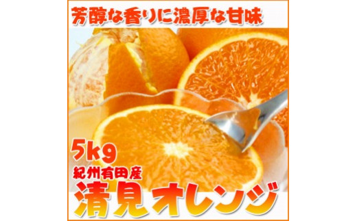 とにかくジューシー清見オレンジ　5kg 477114 - 和歌山県九度山町