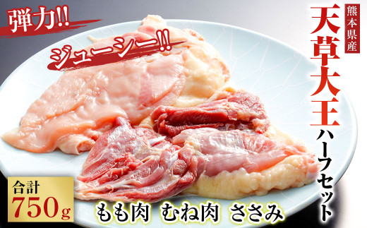 天草大王 ハーフ セット 750g ( もも むね ささみ ) 鶏肉  ミックス 熊本県産 628007 - 熊本県菊陽町