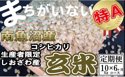 【令和7年産】【定期便】玄米 生産者限定 南魚沼しおざわ産コシヒカリ10Kg×6ヶ月【2025年10月上旬より順次発送予定】 446907 - 新潟県南魚沼市