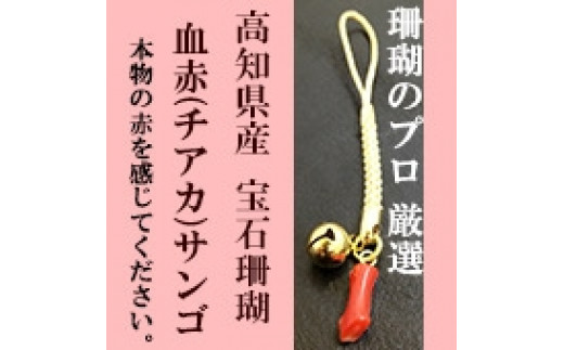 小さい血赤珊瑚根付　本物の宝石（サンゴ）高知県産血赤珊瑚の赤を見てみたいという方に！ 438173 - 高知県高知市