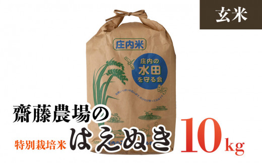 はえぬき　20kg 山形　特別栽培米　令和4年産