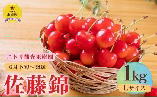 フルーツ王国余市産「佐藤錦」【Lサイズ】1kg【ニトリ観光果樹園】