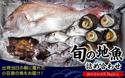 小豆島から直送！朝獲れ鮮魚 旬の地魚詰め合わせ 2.5kg以上 845178 - 香川県小豆島町