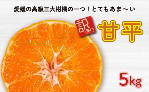先行予約 訳あり 甘平5kg みかん 蜜柑 mikan 甘平 ポンカン 高級 人気 ブランド 柑橘 果物 フルーツ 甘い おいしい お取り寄せ 産地直送 農家直送 国産 特産品 中山農園 愛媛県 愛南町