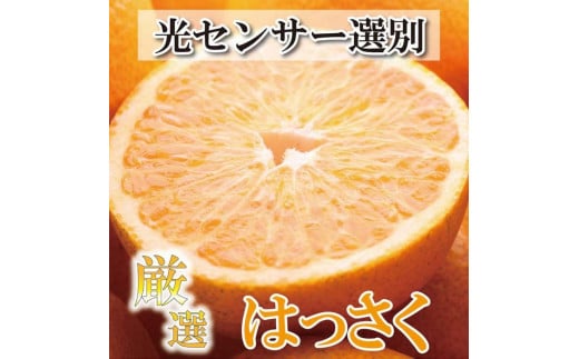 ＜4月より発送＞厳選 樹上完熟はっさく4kg+120g（傷み補償分）【八朔】【さつき・木成】 618700 - 和歌山県印南町