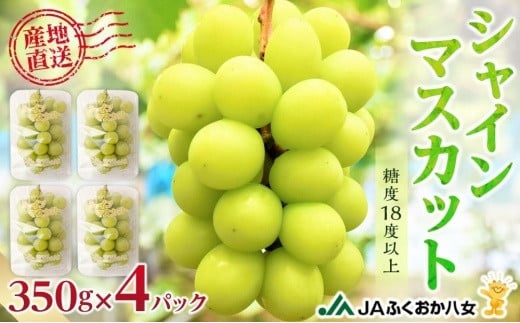【先行予約】【2023年9月配送】シャインマスカット【３５０ｇ×４パック】